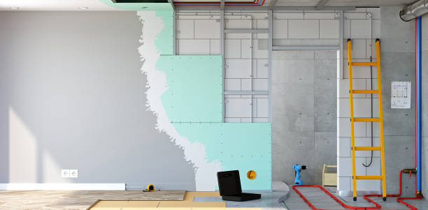 Best Mold Odor Removal Services  in Leadington, MO