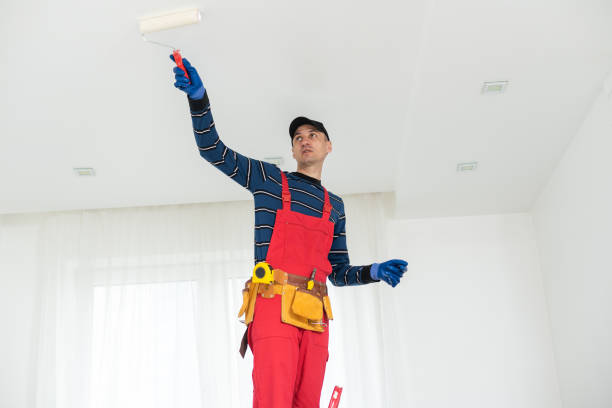 Best Real Estate Mold Inspection  in Leadington, MO