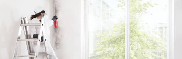 Best HVAC Mold Inspection and Cleaning  in Leadington, MO