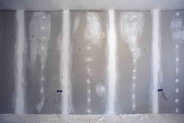 Best Environmental Consulting for Mold Prevention  in Leadington, MO