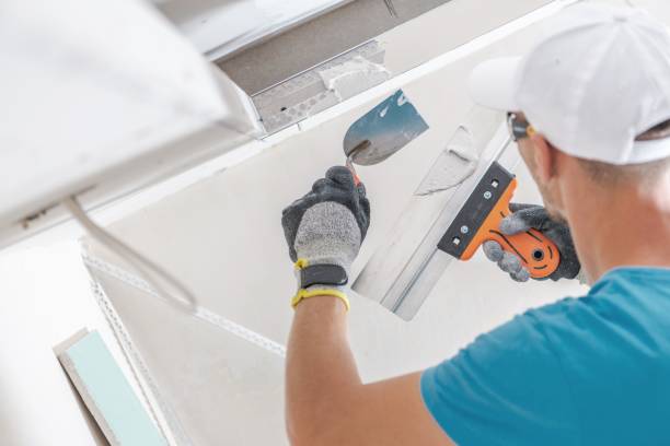 Best Mold Removal for HVAC Installations  in Leadington, MO